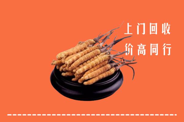 高价求购：威海回收散虫草