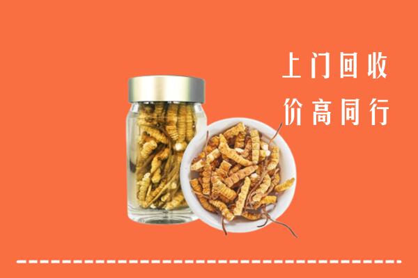 威海回收冬虫夏草