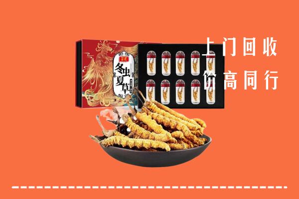 威海回收虫草